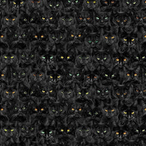 Wicked Black Cats Magic-Black CAT-CD1831-BLACK