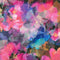 Wide Collection-Azalea SRKDX-22687-301
