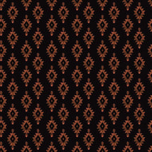 Wild & Free-Aztec STELLA-DFN3647-EBONY