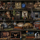 Witch Apothecary Bookshelf-Brown LIBRARY-CD2877-BROWN