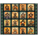 Witchypoo-37" Witch Picture Panels Black 2600-31934-J