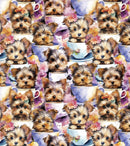 Yorkie Cups-Multi DX-4822-3C-1