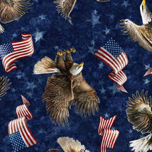 American Spirit-Eagle & Flag Toss Navy 2600-30128-N
