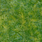 Artisan Batiks Wintergreen-Meadow AMD-21066-270