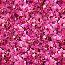 Blossom-Mini Floral 1649-28846-P