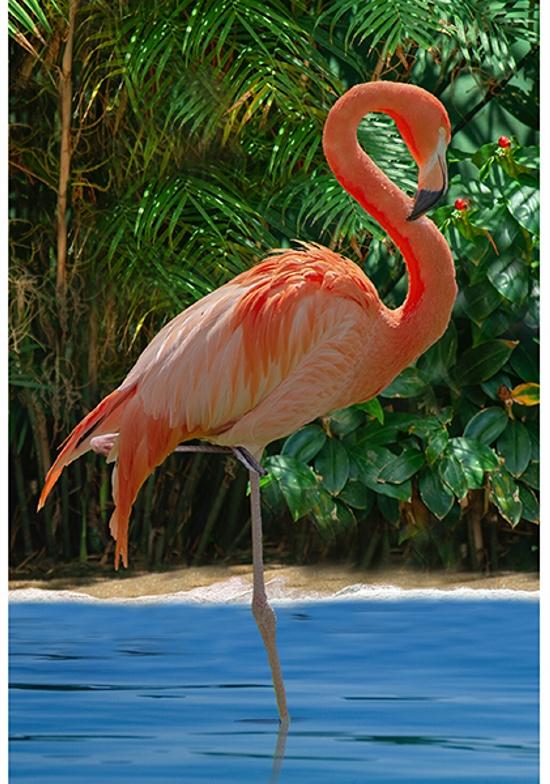 Call Of The Wild-31" FlamingoPanel V5335-264