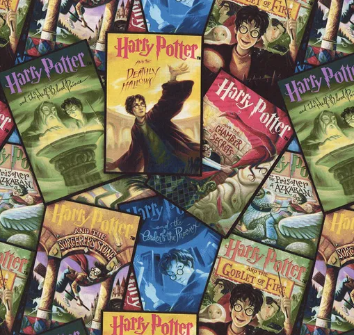Character Poster-Harry PotterBook Cover Multi 23800813-01