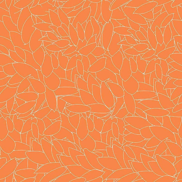 Citrus Pop-Clusters Orange CT4610-10