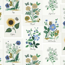 Curio-Botanical Prints Blue Multi RP1101-BM2