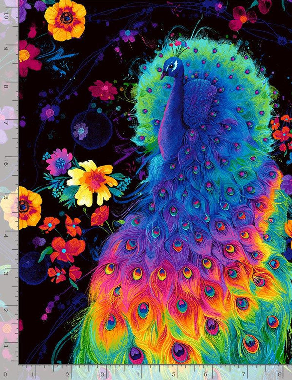 Glow Rainbow Peacock & Feathers PLUME-C8412-BLACK