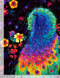 Glow Rainbow Peacock & Feathers PLUME-C8412-BLACK