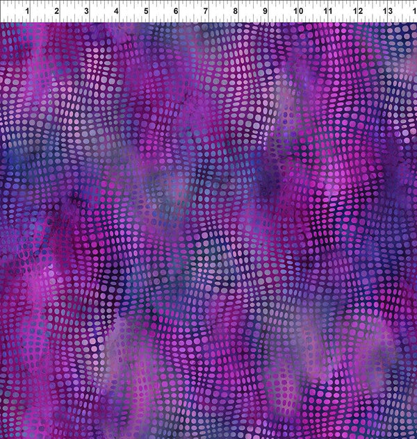 Impressions-Dots Purple 11JYS-5