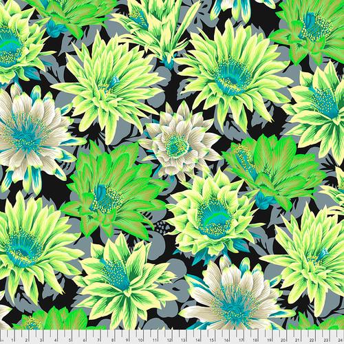 KF Coll Classics-Cactus Flower Contrast PWPJ096.CONTRAST