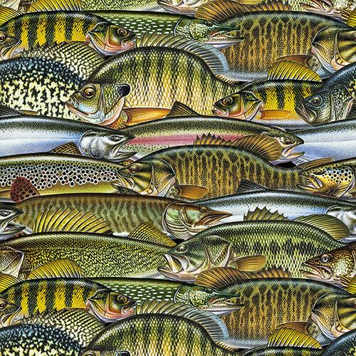 Keep It Reel-Fish Collage Olive 1357-60