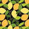 Lemons DC11187-BLAC-D