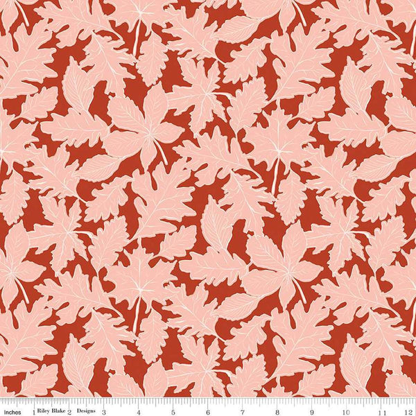 Maple-Fall Autumn C12471-AUTUMN
