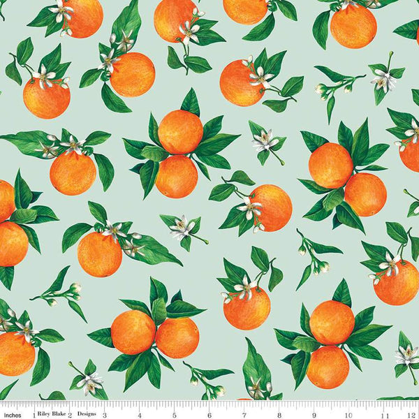 Monthly Placemats 2-June Oranges Mint C13931-MINT