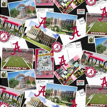 NCAA- Alabama Crimson Tide Scenic Postcard Cotton AL-1211