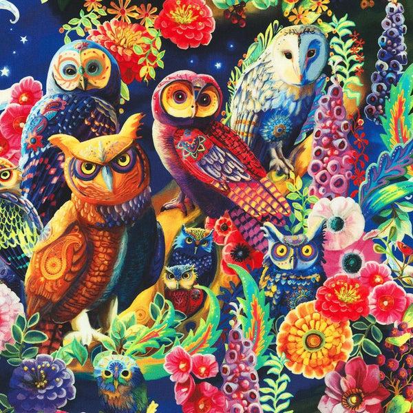 Night Owls-Nature AHHD-22072-268