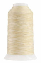 Omni Variegated Polyester Thread 40wt 2000yd-French Pastry 14502-9002
