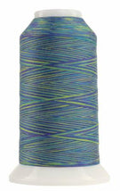Omni Variegated Polyester Thread 40wt 2000yd-Mystic 14502-9012