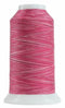 Omni Variegated Polyester Thread 40wt 2000yd-Taffy 14502-9031
