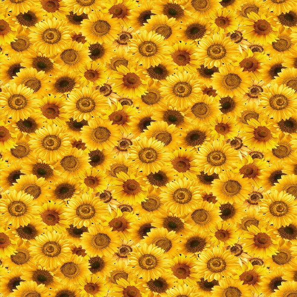 Packed Sunflowers FLEUR-CD2746-YELLOW