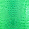 Precut Vinyl 18"x54" Keys Gator 3-D Embossed Vinyl Poison Green KG-117