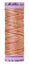 Silk-Finish Antique Floral 50wt 100M Variegated Cotton Thread