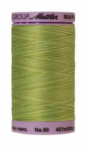 Silk-Finish Little Sprouts 50wt 500M Variegated Cotton Thread