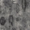 Steampunk Adventures-Blender 1649-29568-K