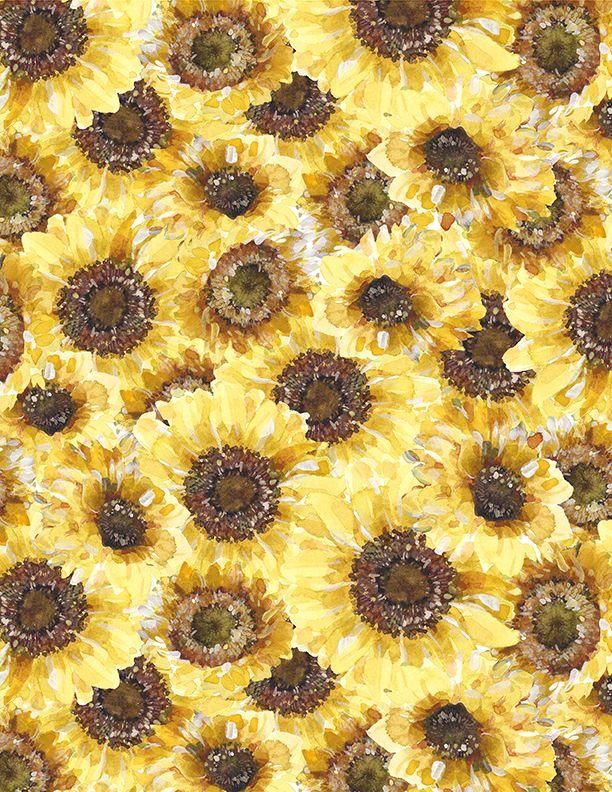 Sunflower Sweet-Packed Sunflowers Multi 17792-552
